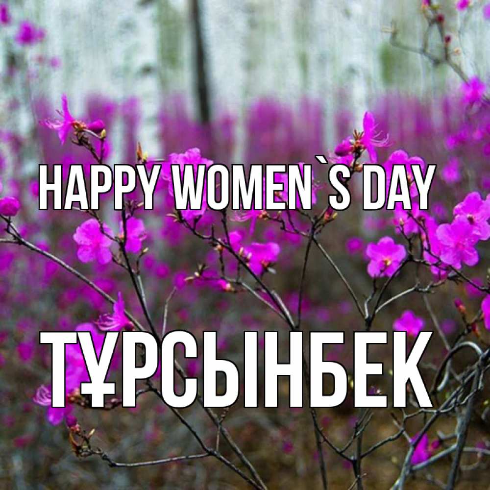 Greetings card с именем, ТҰРСЫНБЕК happy women`s day дикие цветы Greetings with text for free download 